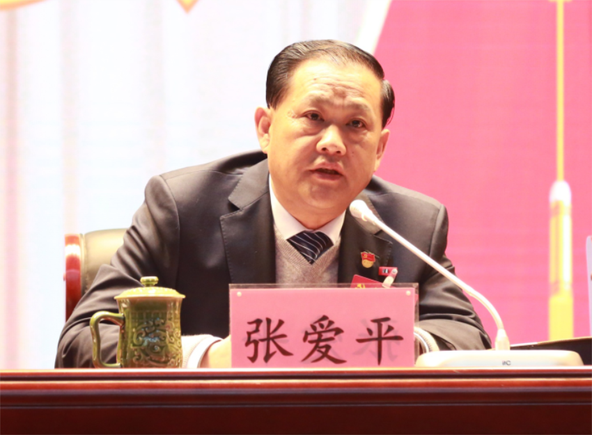 张爱平同志宣读中共赢博平台,赢博(中国)一站式服务平台第一届党委成员分工及纪委成员分工